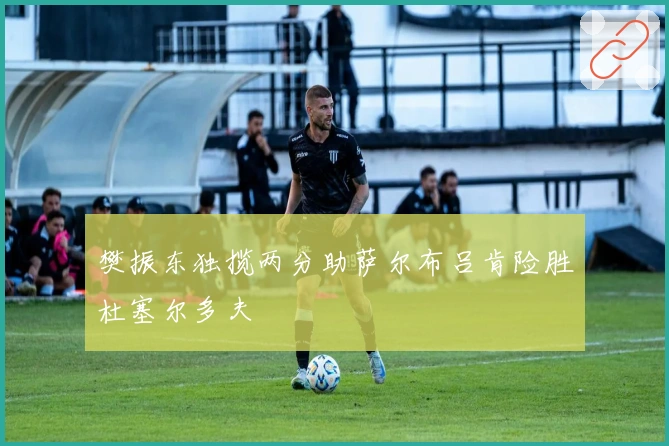 樊振东独揽两分助萨尔布吕肯险胜杜塞尔多夫